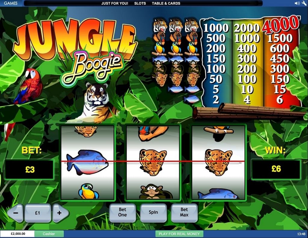 Slots Jungle - Verified Reviews & Real Gambling Enterprise Score 2025