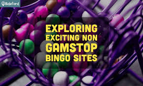 Discovering Online Bingo Without Registration Play Freely